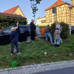 Baum, Pfahl, Helfer - alles Nötige ist da