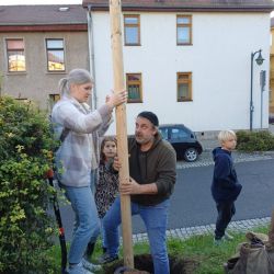 Pfahl rein....