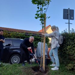Baum dazu und wieder zubuddeln